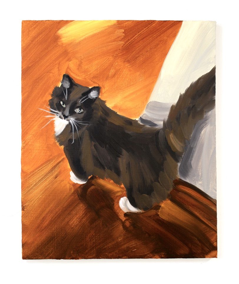 Kitty