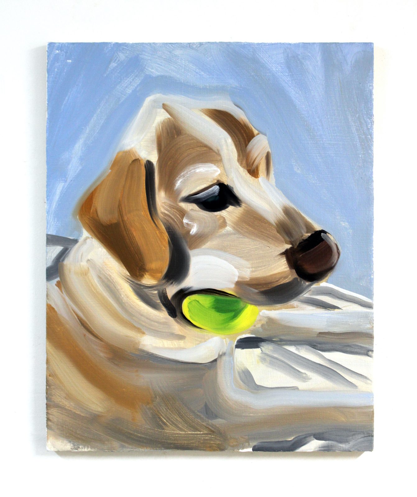 Oliver With His Tennis Ball