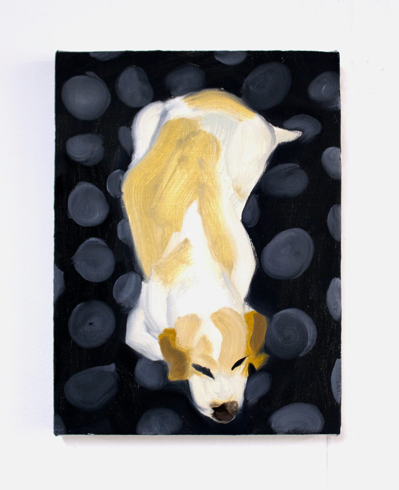 Polka Dot Dog