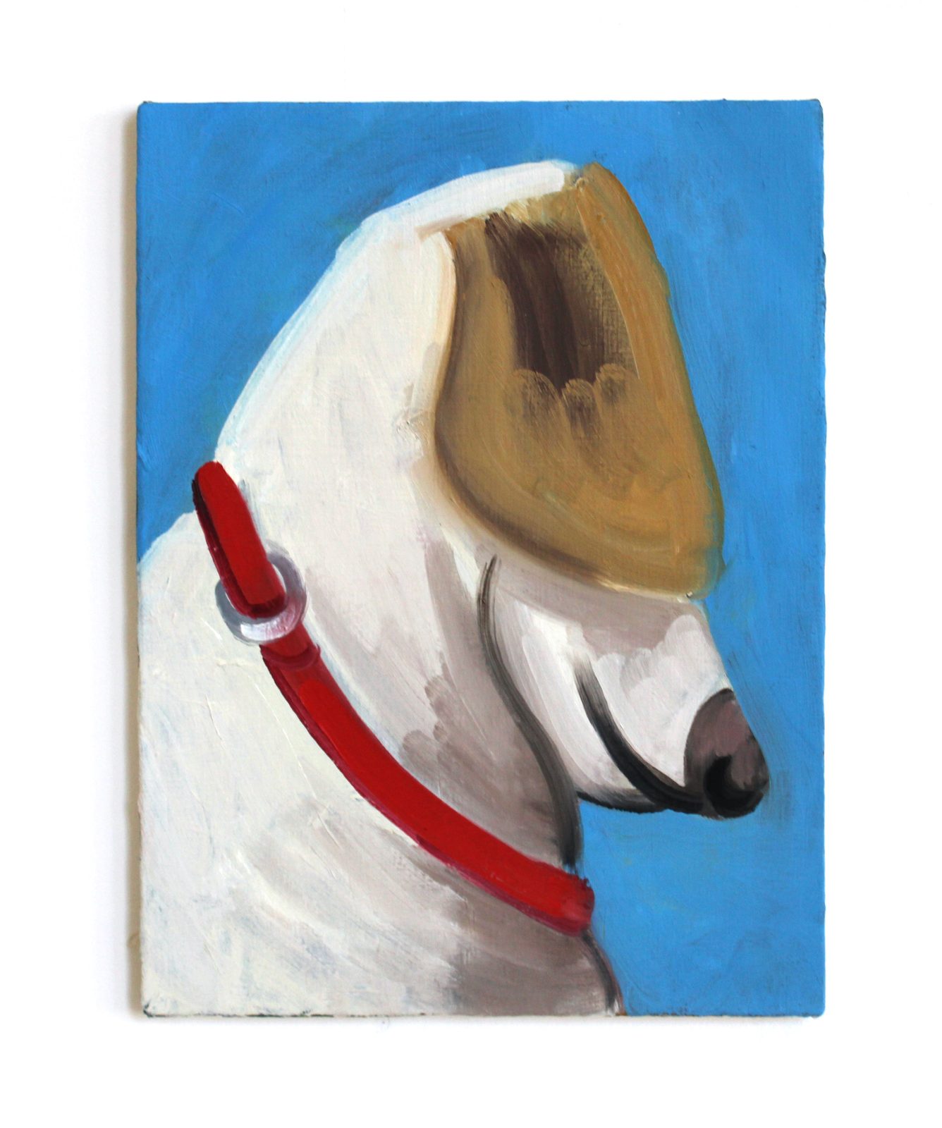 Shy dog