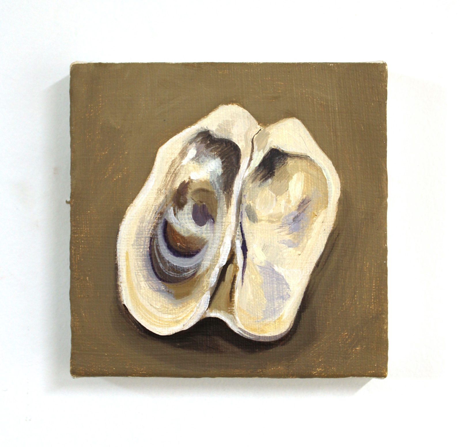 Bivalve
