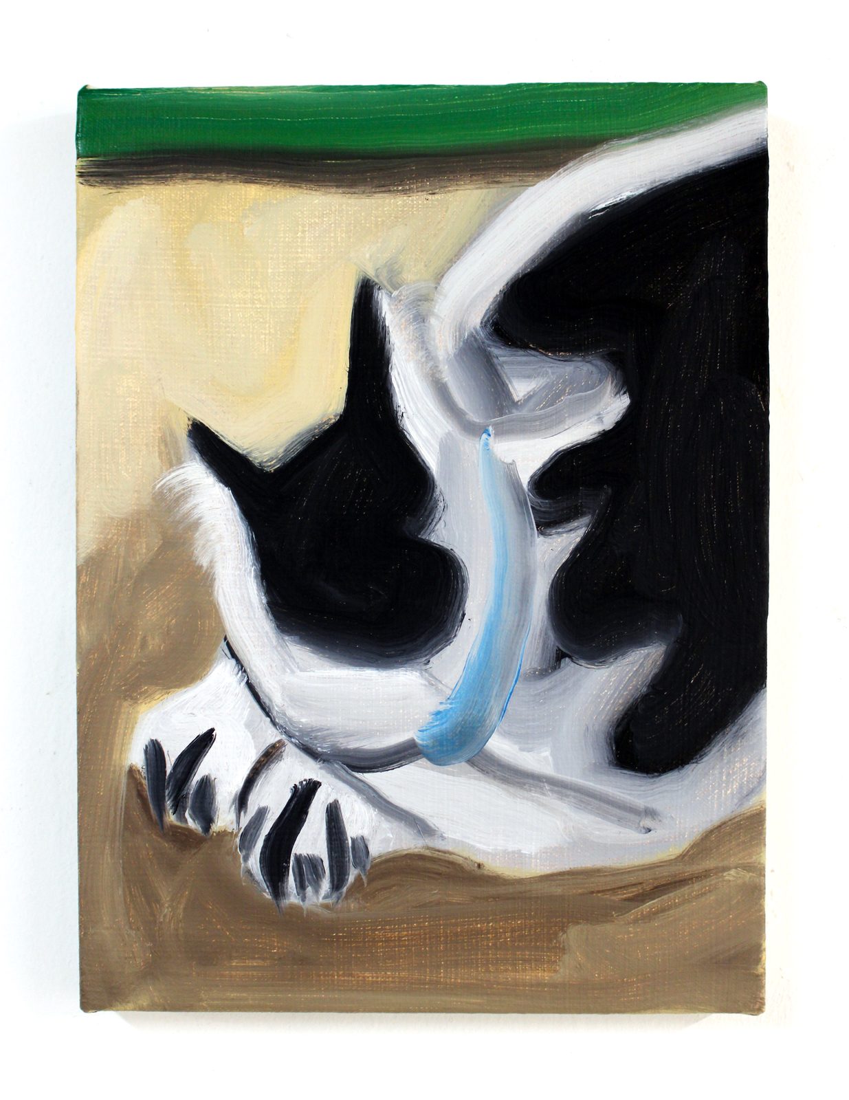 Cat Nap