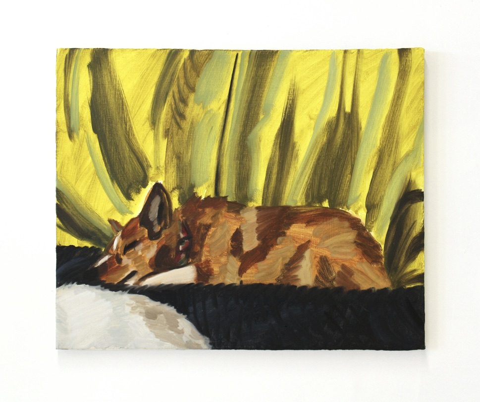 Two Dogs and My Yellow Curtain