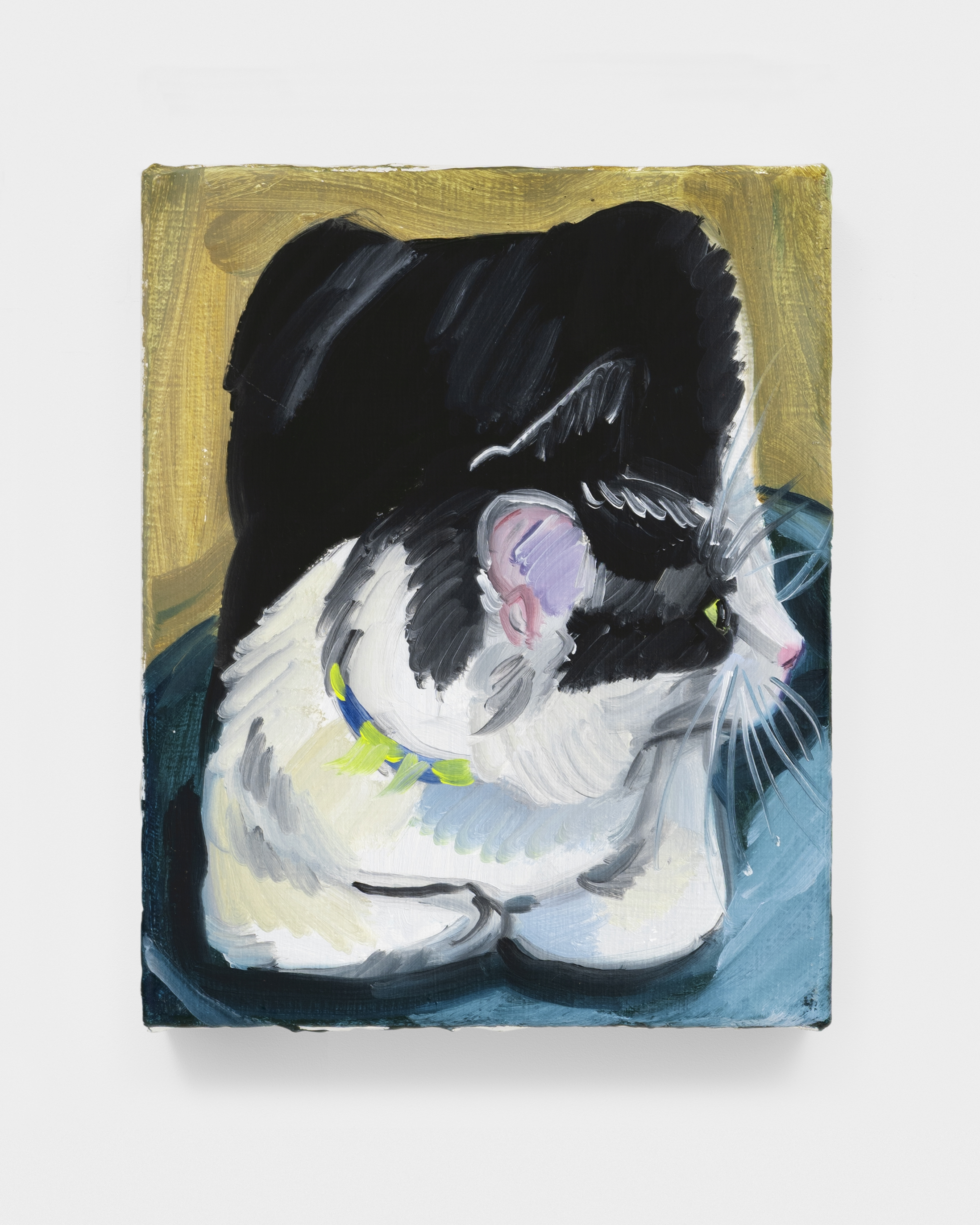 Possum in Profile