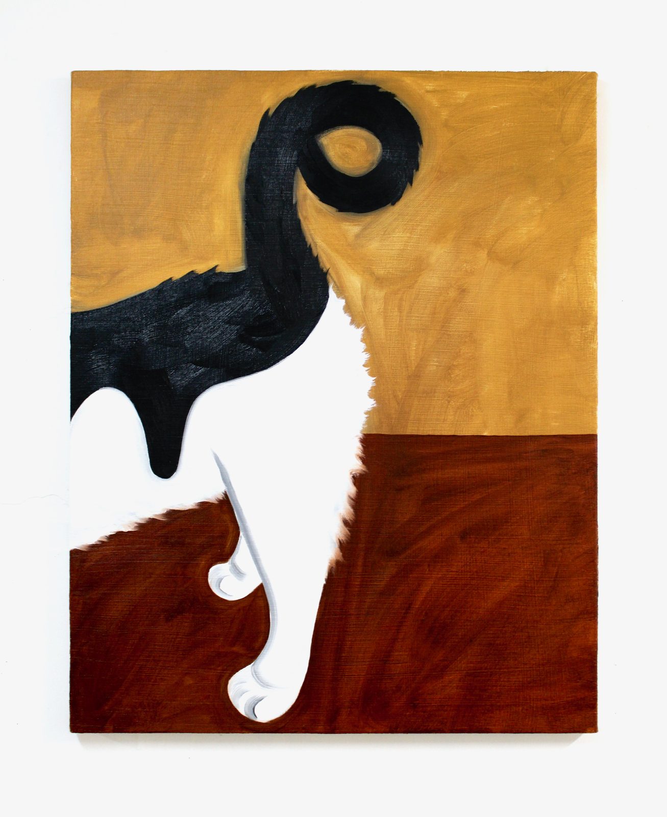 Cat's Ass