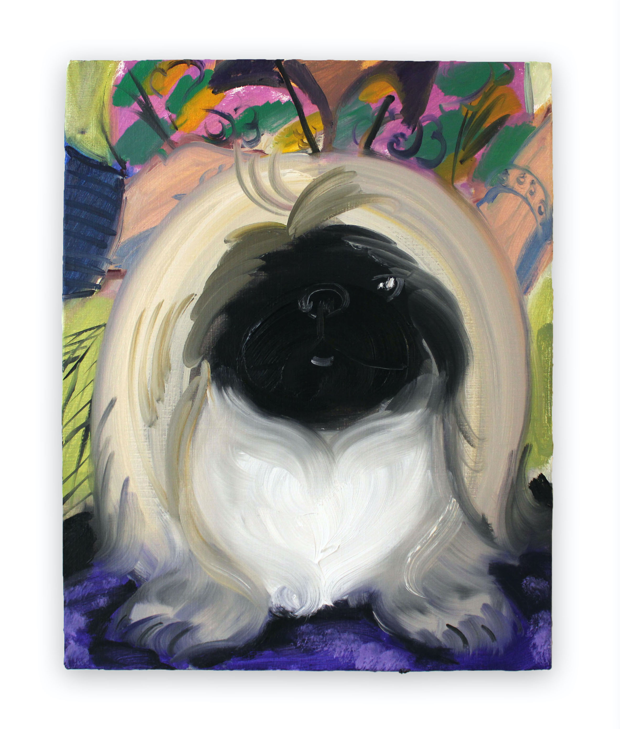 Pekingese